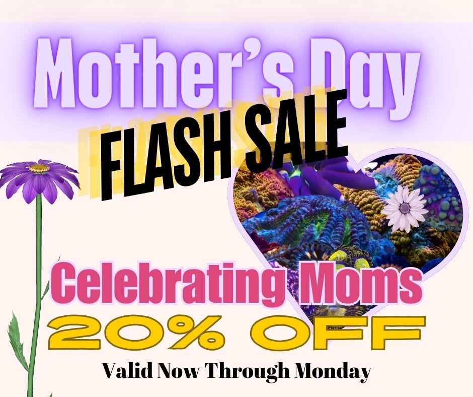 sitewideSaleBanner.jpg sitewideSaleBanner.jpg