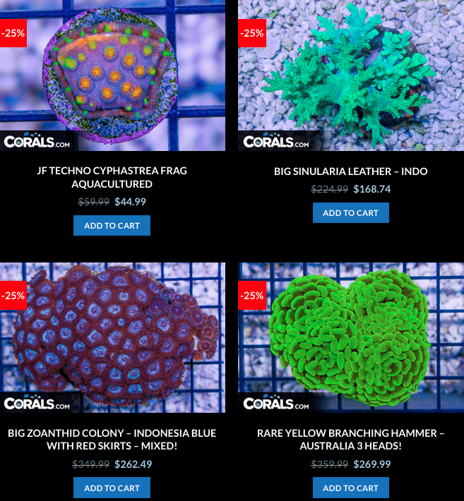 Screen Shot 2023-01-24 at 9.05.40 AM.png