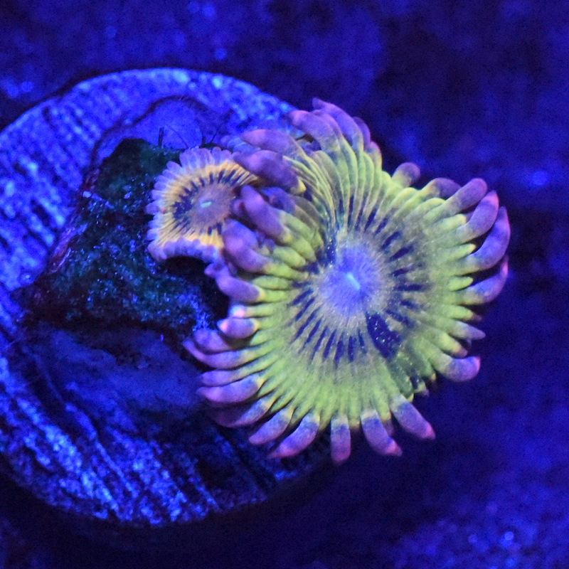 DSC_2666.JPG