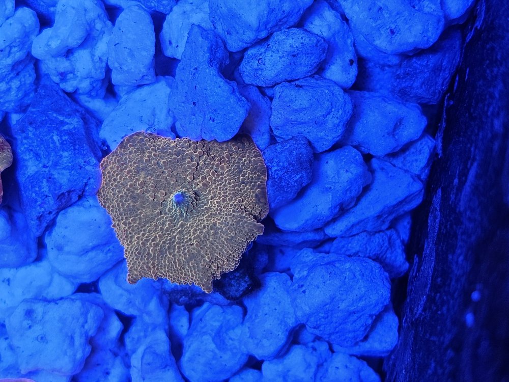 1000026133.jpg 1000026133.jpg