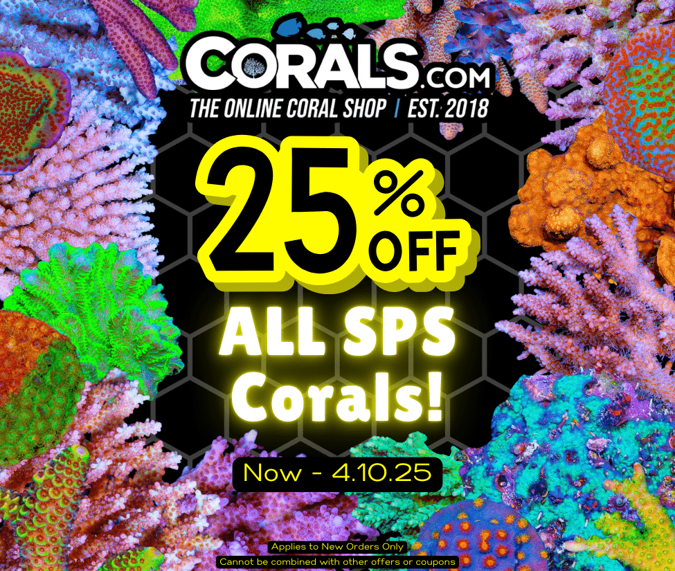 SPS sale(2).png