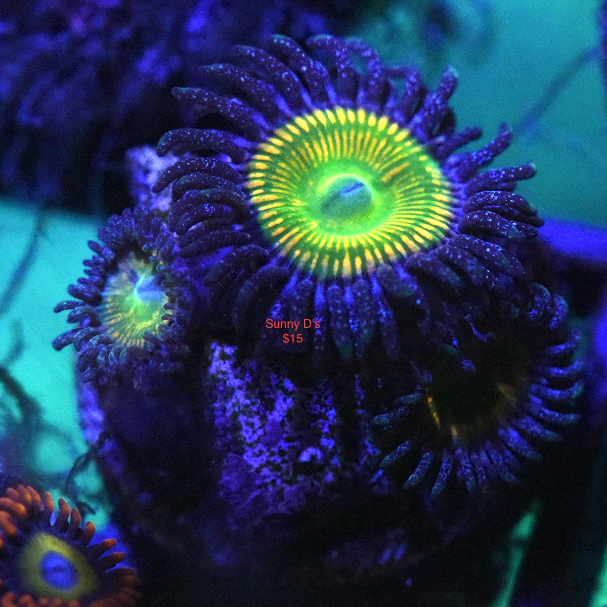 DSC_2841.JPG
