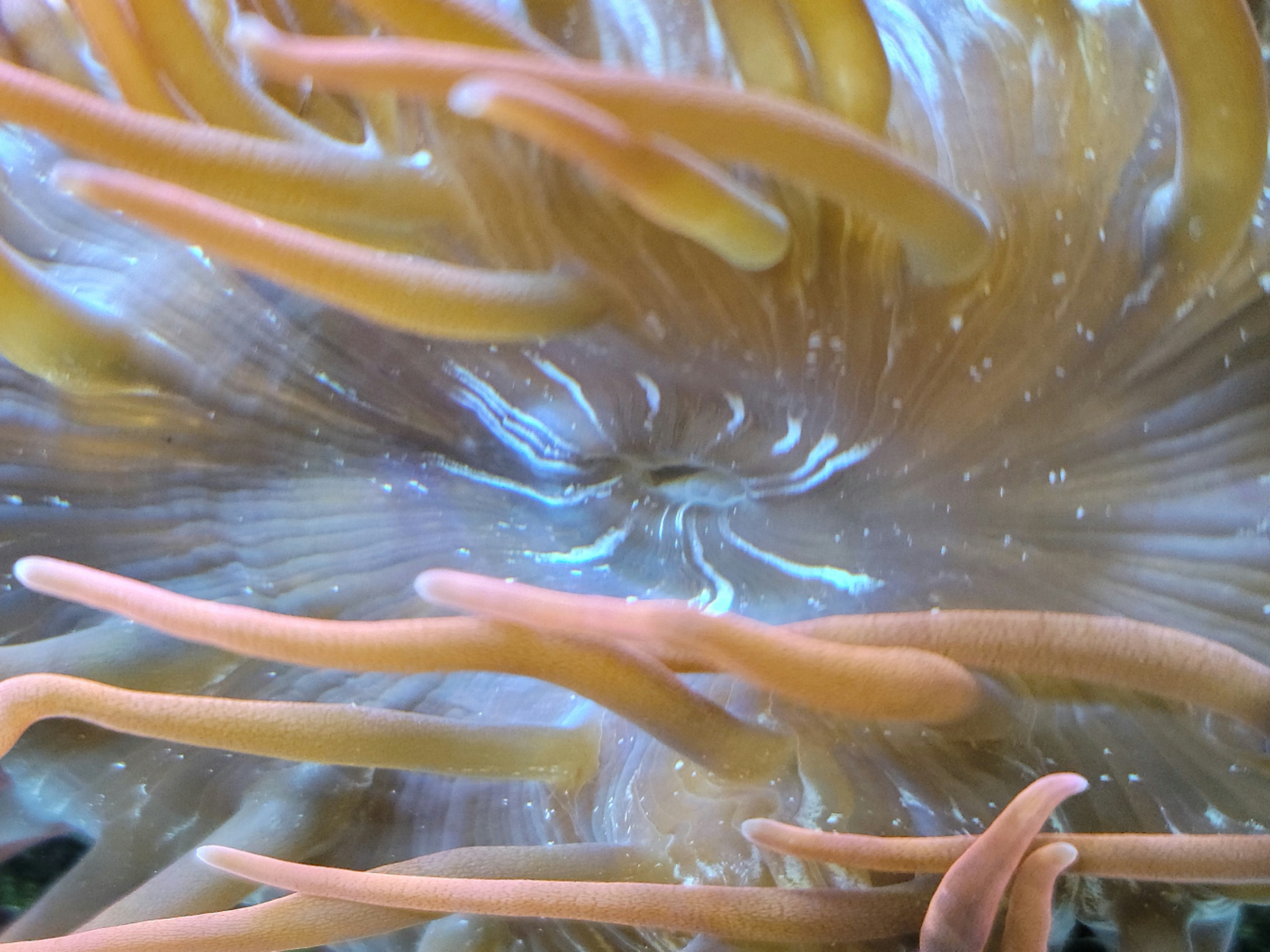 20210815_125335.jpg