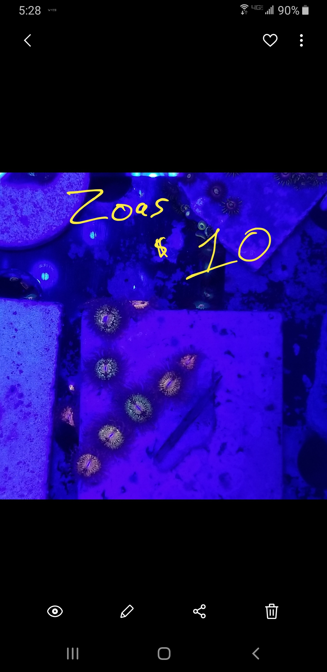 Screenshot_20210103-172908_Gallery.jpg