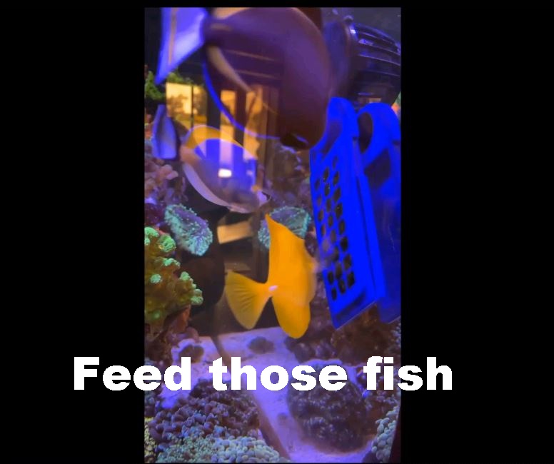 r2 growth and feed 2 thumb.jpg