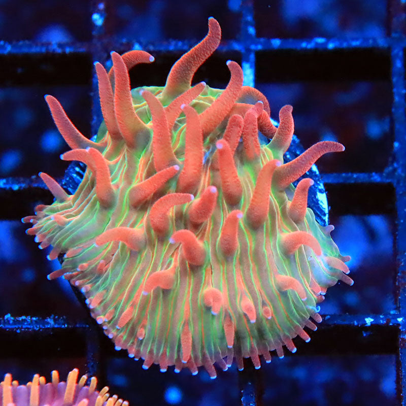 m1-ls-0210-027.jpeg m1-ls-0210-027.jpeg