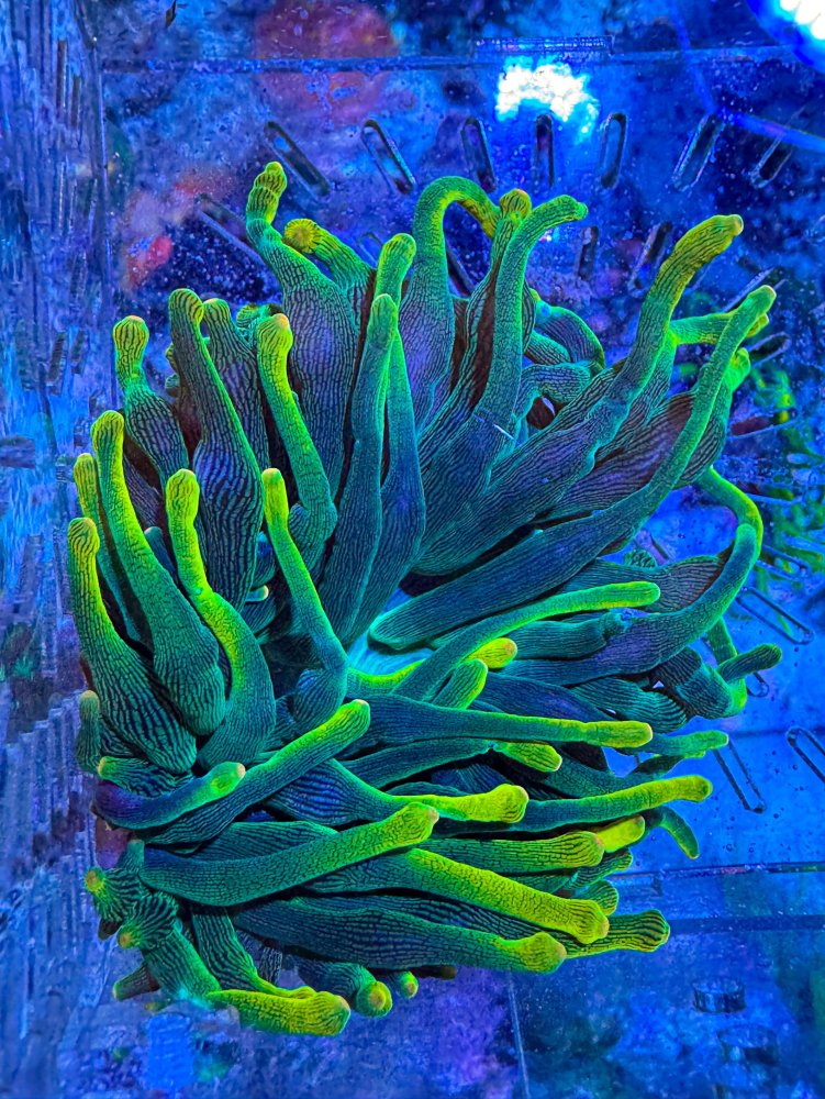 4D125D73-8D7F-4759-829B-4493596C110D.jpg