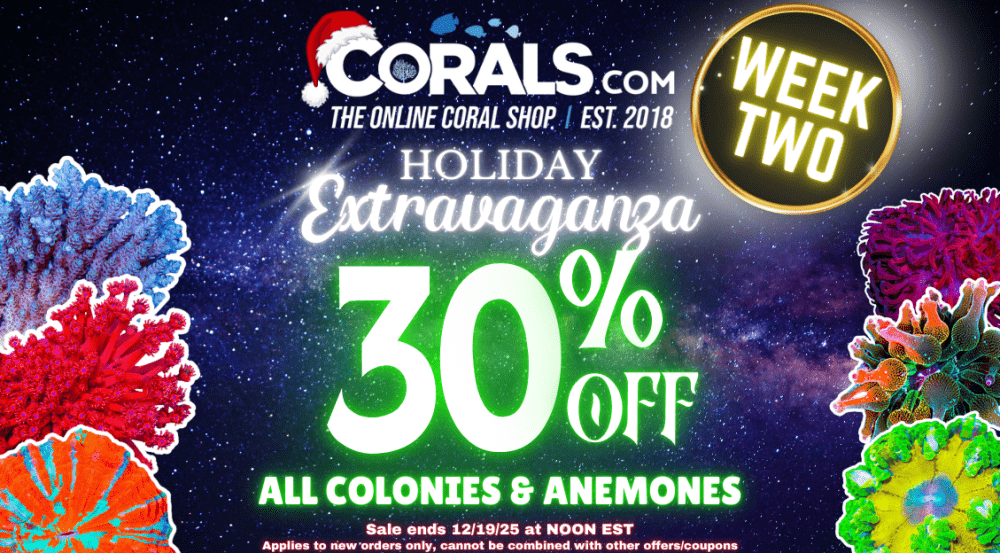 Copy of holiday sale week 2.png