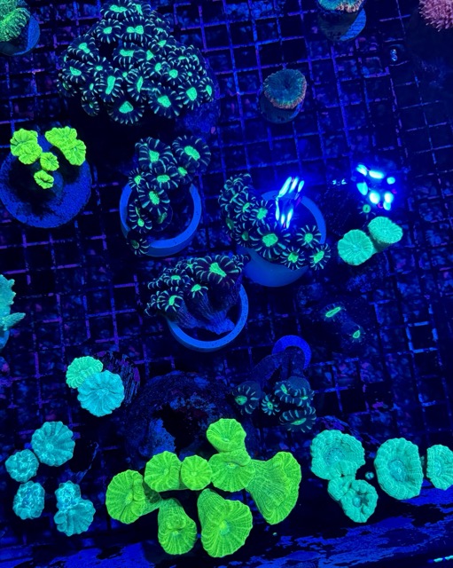 IMG_9626 Medium.jpeg