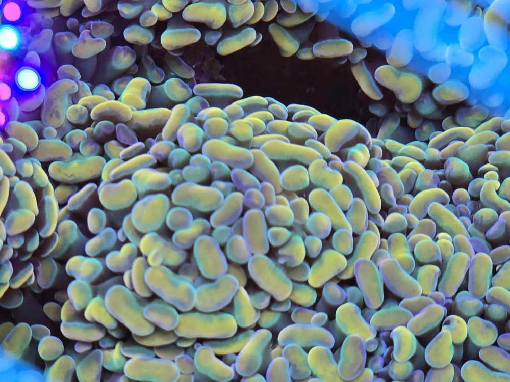 2025-10-30 14.23.58.jpg