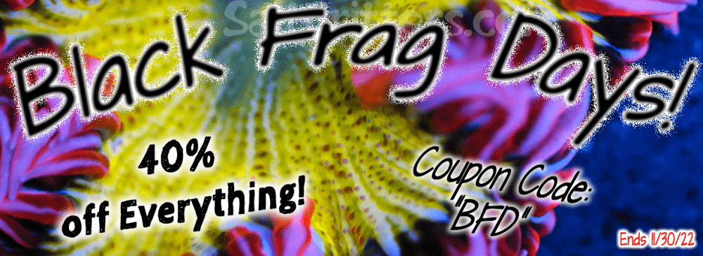 Black Frag Days2022.png Black Frag Days2022.png