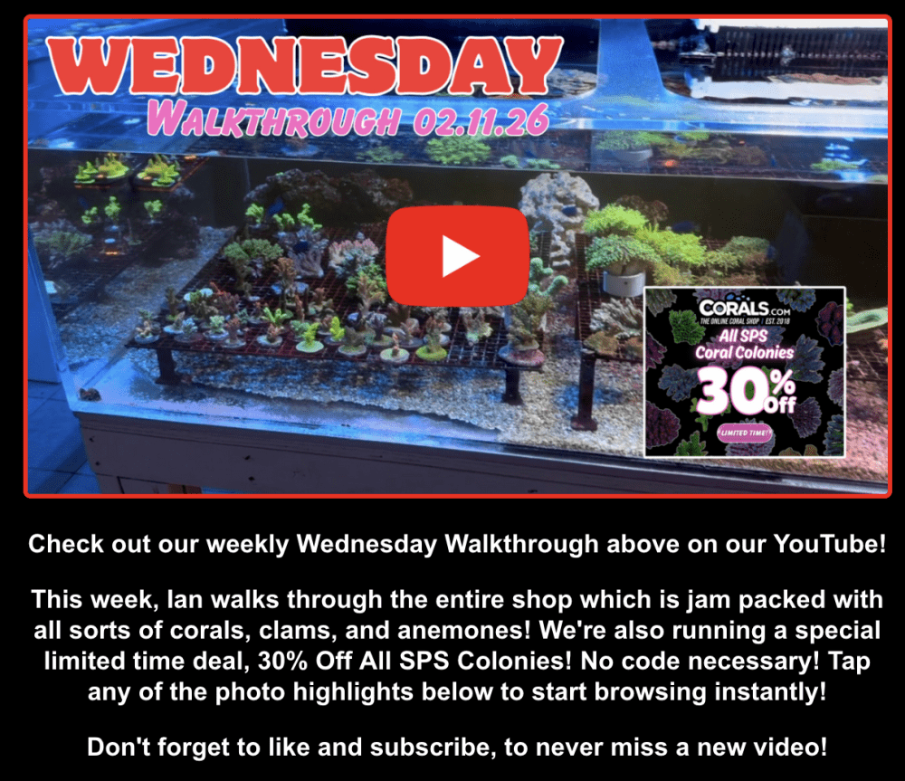 Screenshot 2026-02-11 at 2.17.09 PM.png