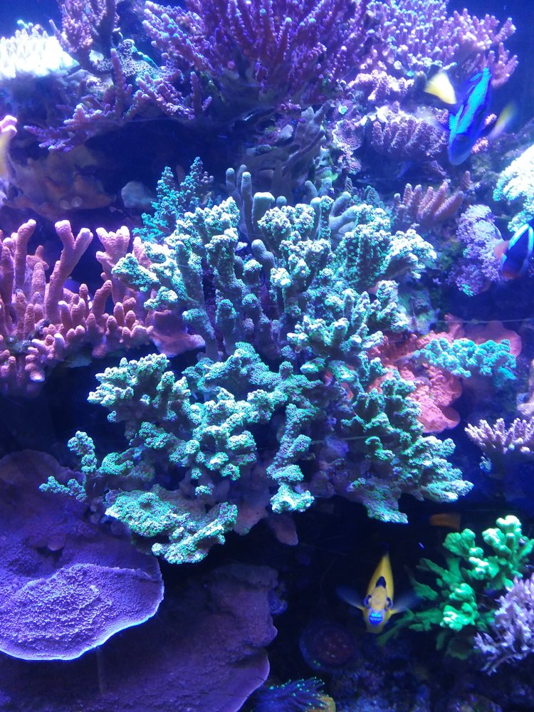20220421_145205.jpg 20220421_145205.jpg