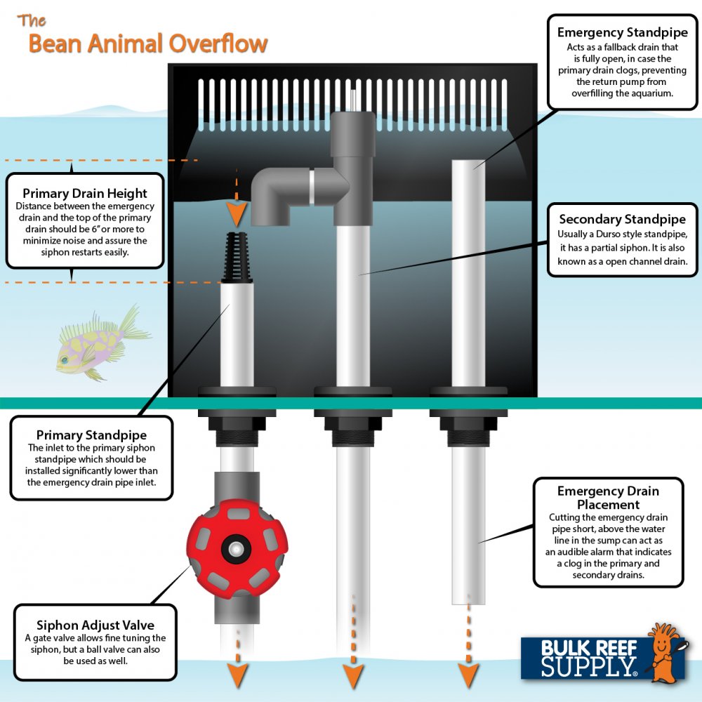 Types+of+Overflow+Drains-03.jpg