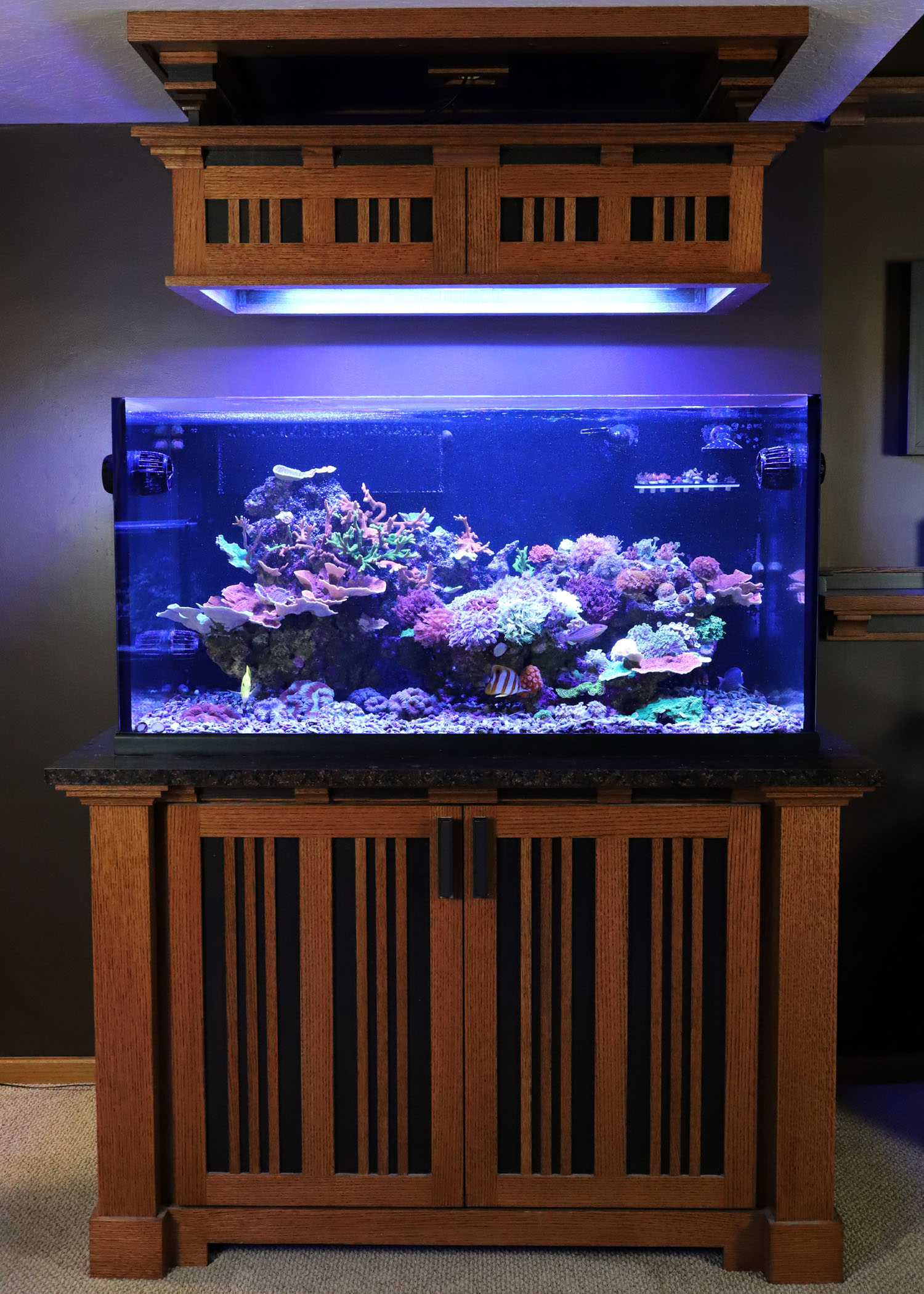 210102 - 2021FSS.jpg