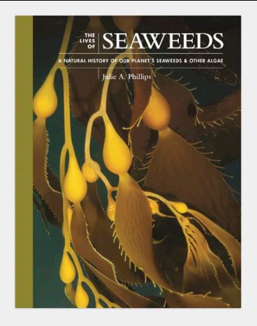 seaweed book.JPG