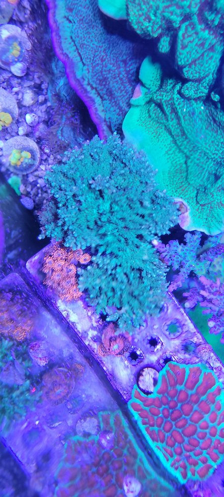 2021-06-23_21-12-27.jpg