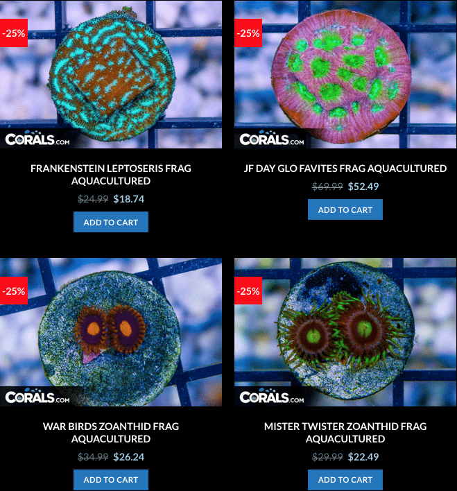 Screen Shot 2023-01-17 at 8.59.28 AM.png