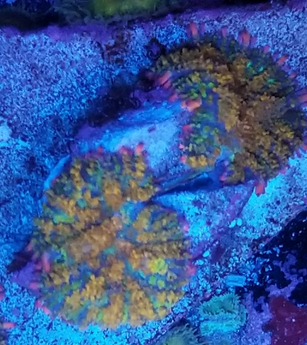 20210826_181739.jpg