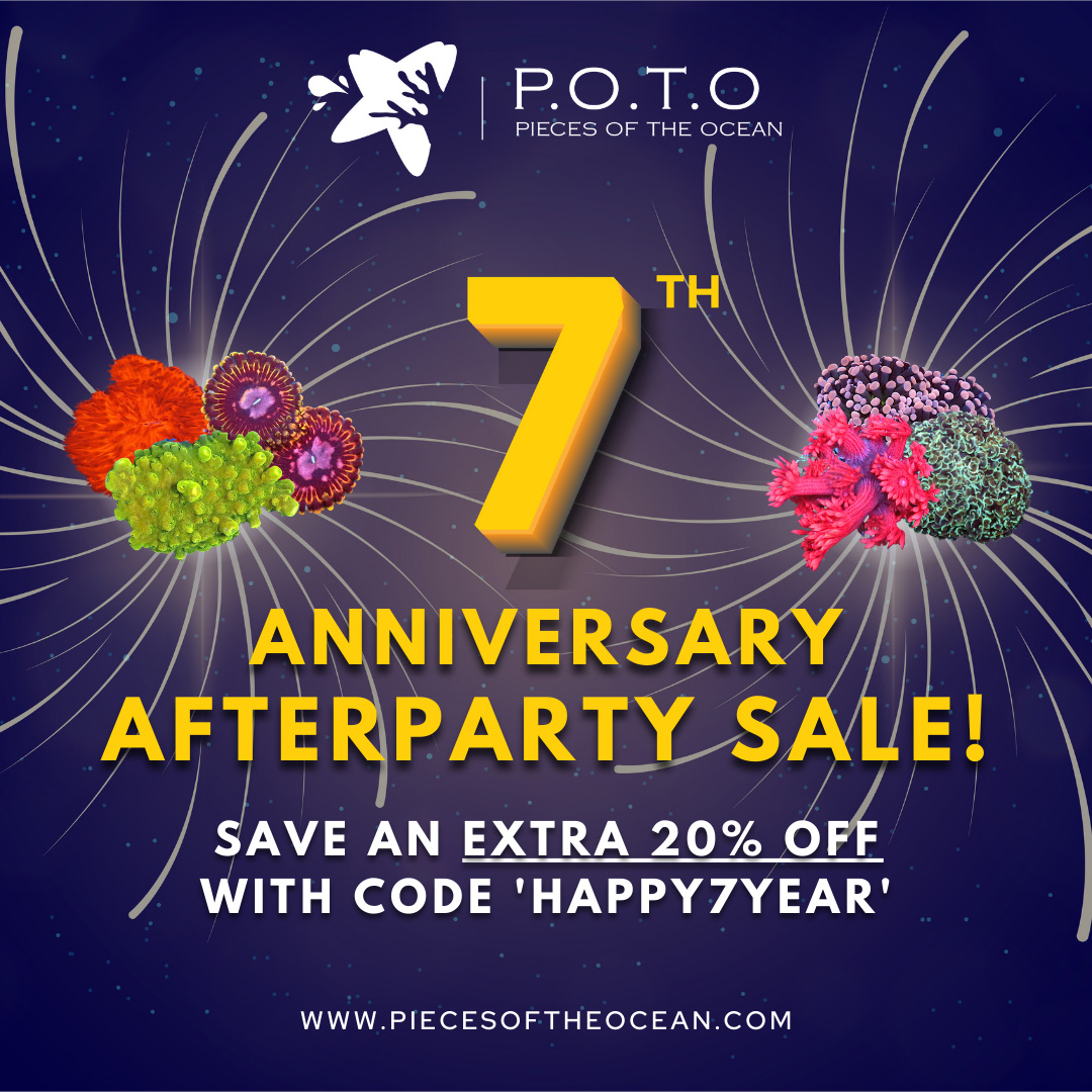 POTO-Anniversary-Afterparty-Sale-1x1.jpg