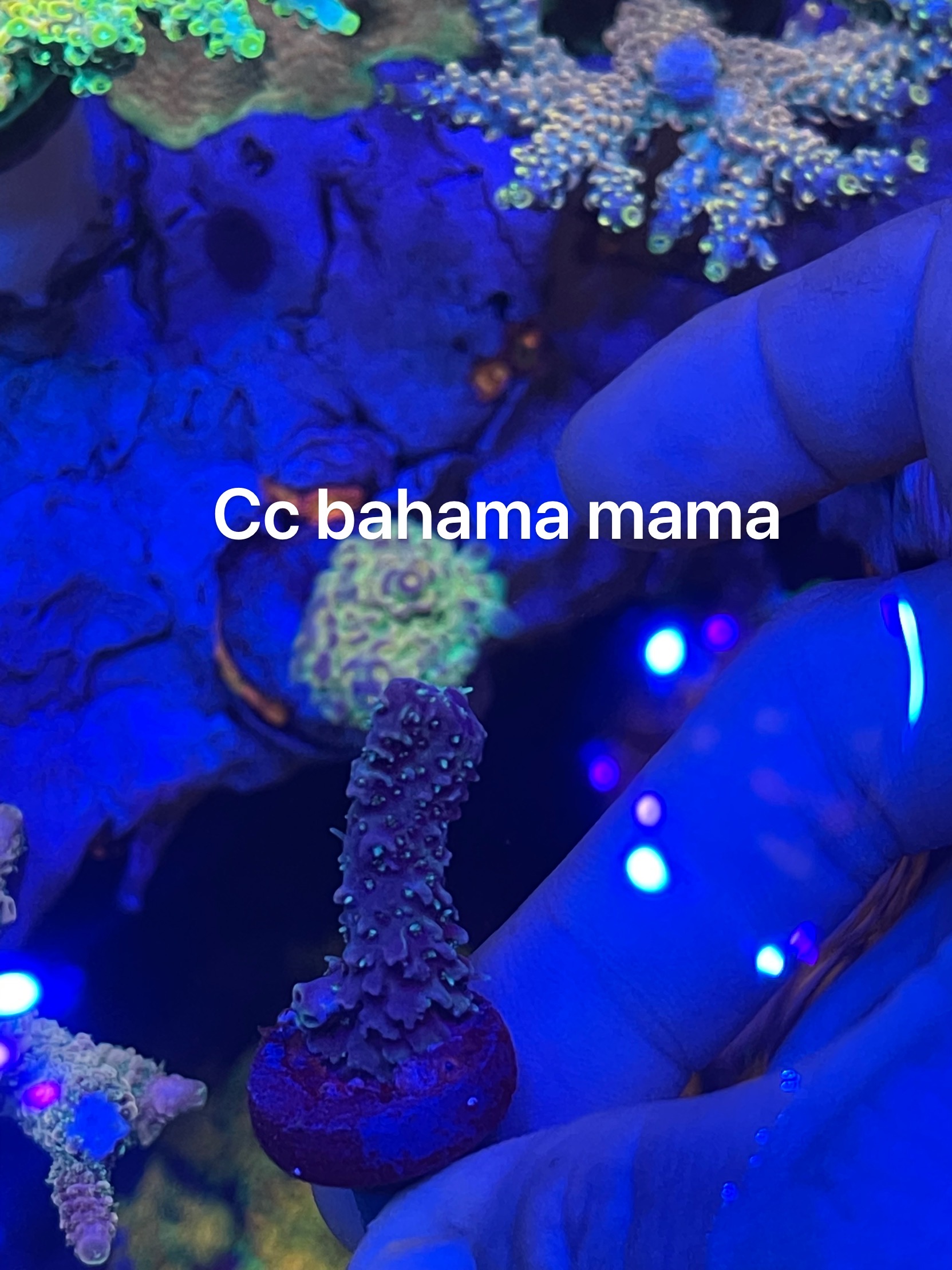 B44CB5F8-D479-4A98-B825-B4FD39F8A3C0.jpeg