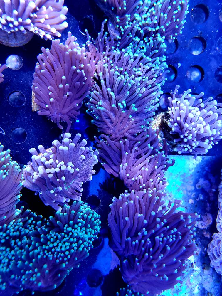 20191002_114030.jpg