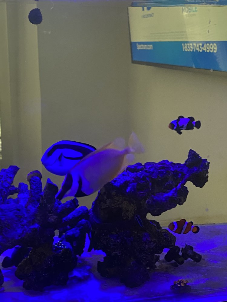 48C03C8F-3905-4B10-BA47-B2E4F051A0E8.jpeg
