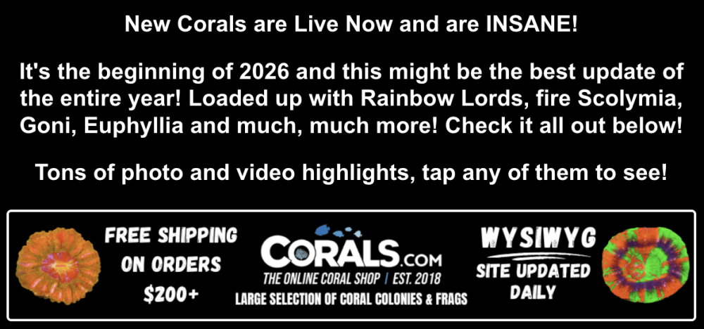 Screenshot 2026-01-15 at 1.34.46 PM.png