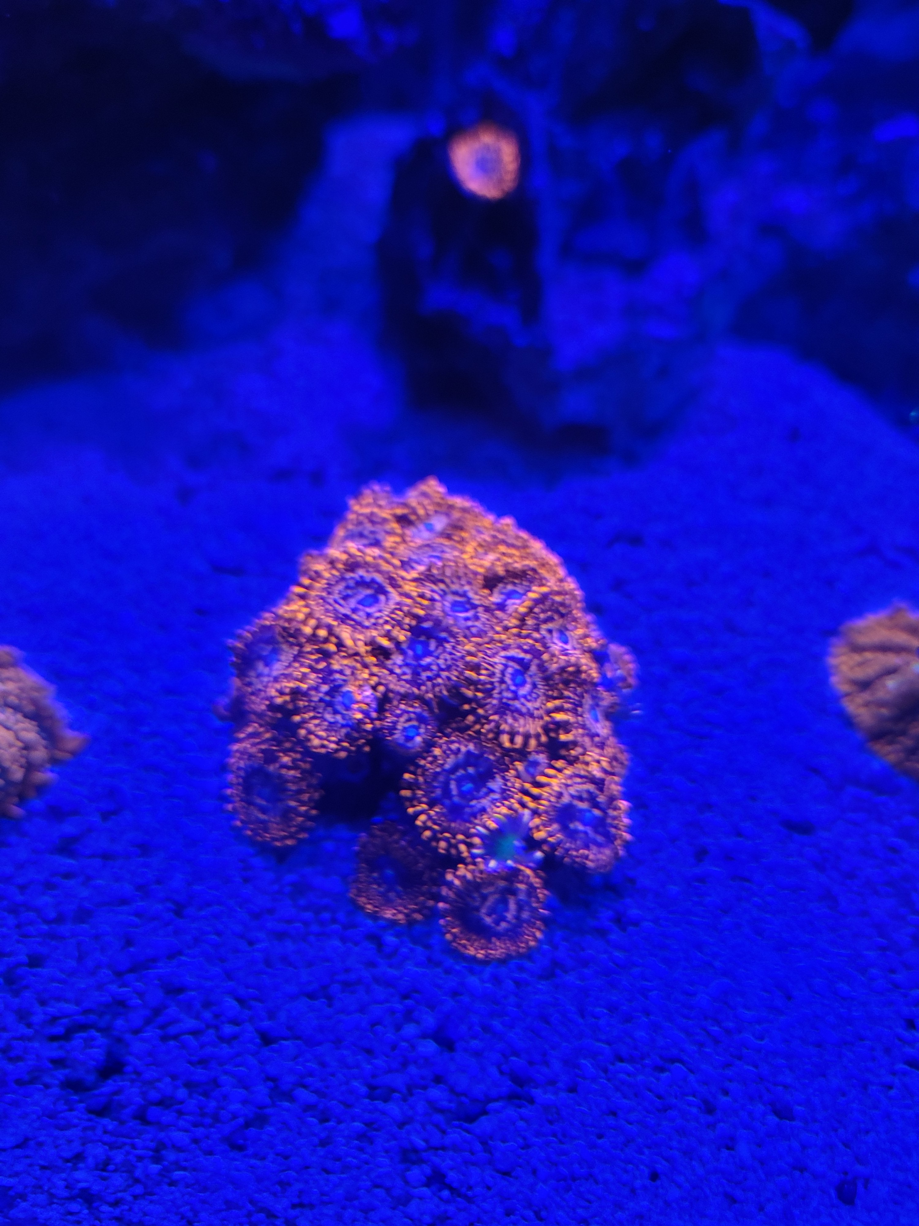 20210420_191331.jpg