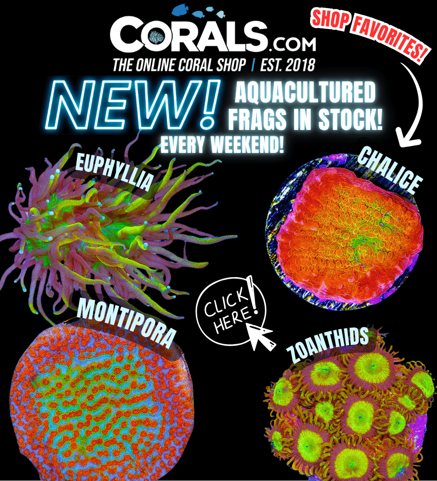 new aquaculture(14).png