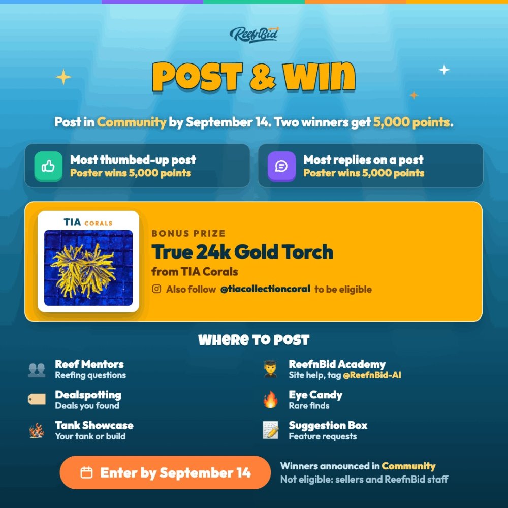Community Points Banner.jpg