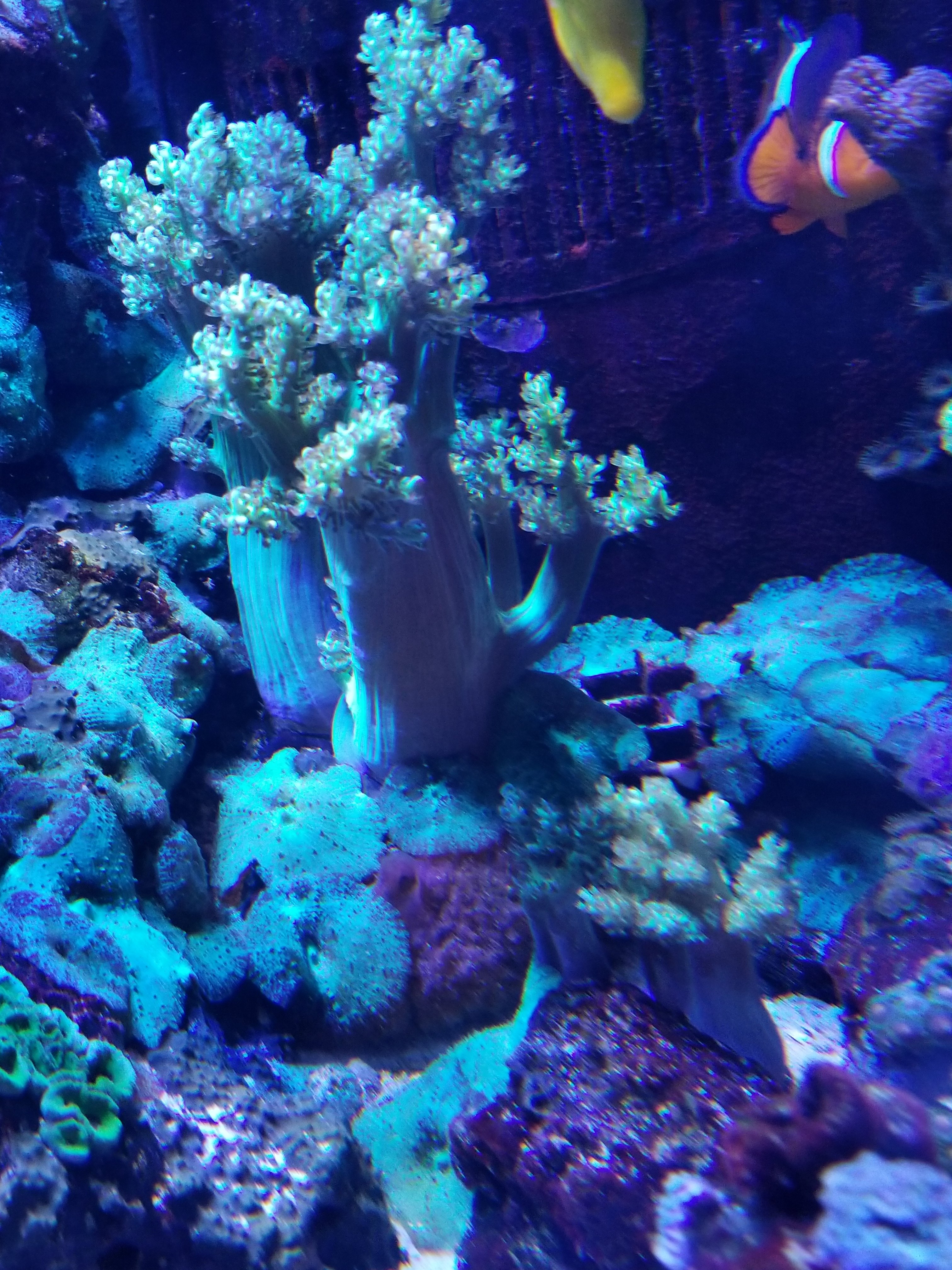 20201224_002229.jpg