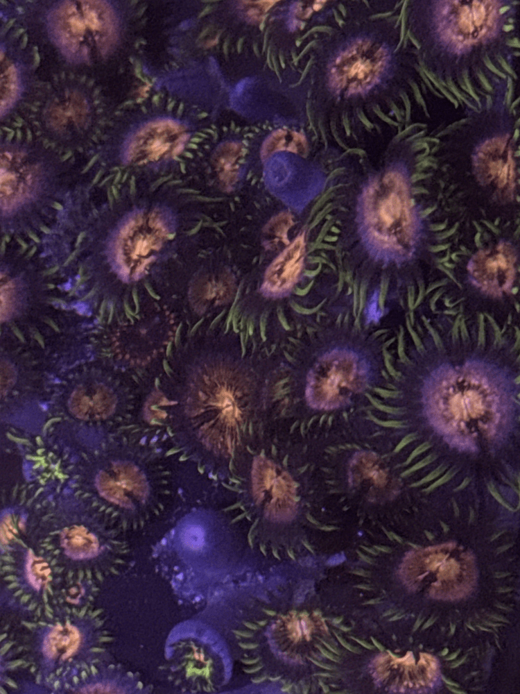 1715901702694.png 1715901702694.png