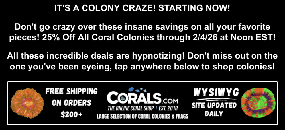 Screenshot 2026-01-30 at 1.21.20 PM.png