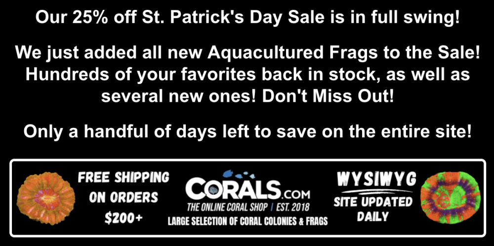 Screenshot 2026-03-13 at 11.30.49 AM.png