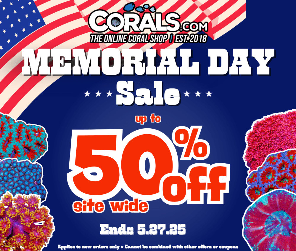 Memorial Day 2025(2).png