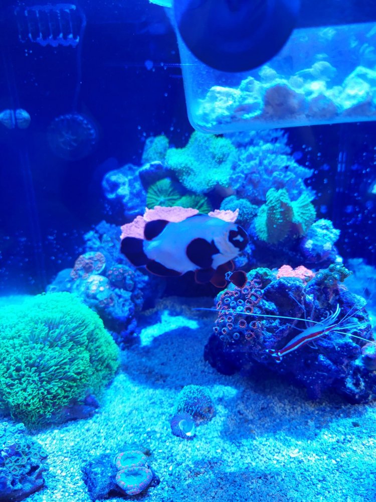 WhatsApp Image 2022-08-04 at 1.12.25 PM.jpeg