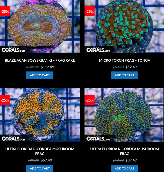 Screen Shot 2023-01-24 at 9.03.55 AM.png