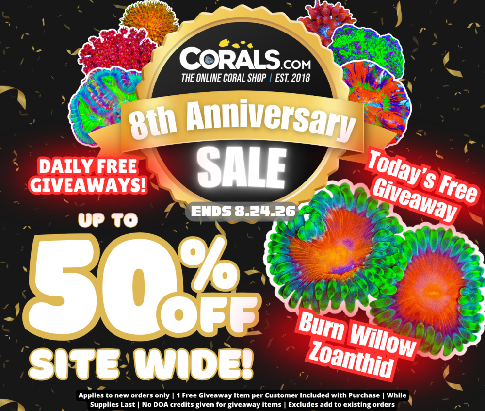 Anniversary Sale 2026(2).png