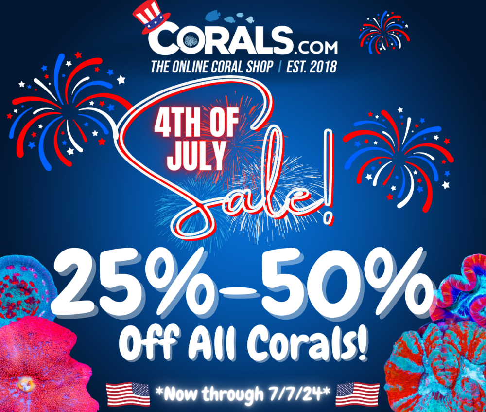Fourth of July 2024.png