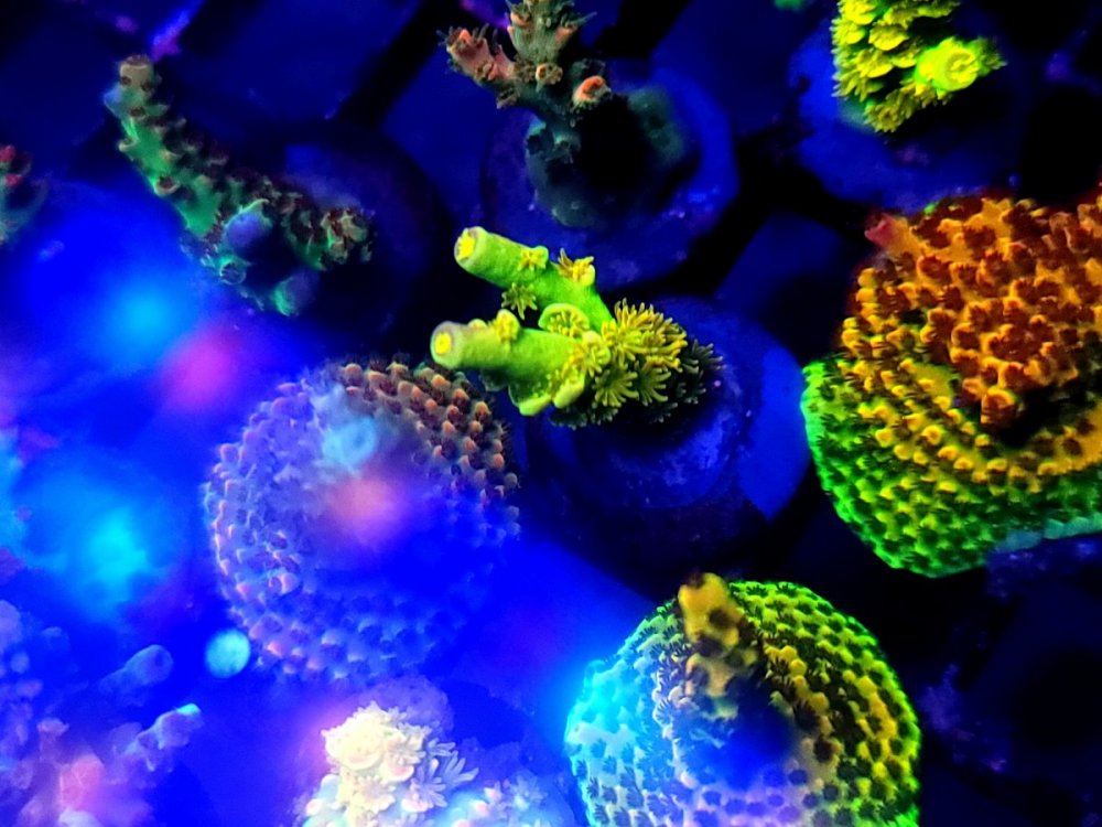 20230323_101655.jpg