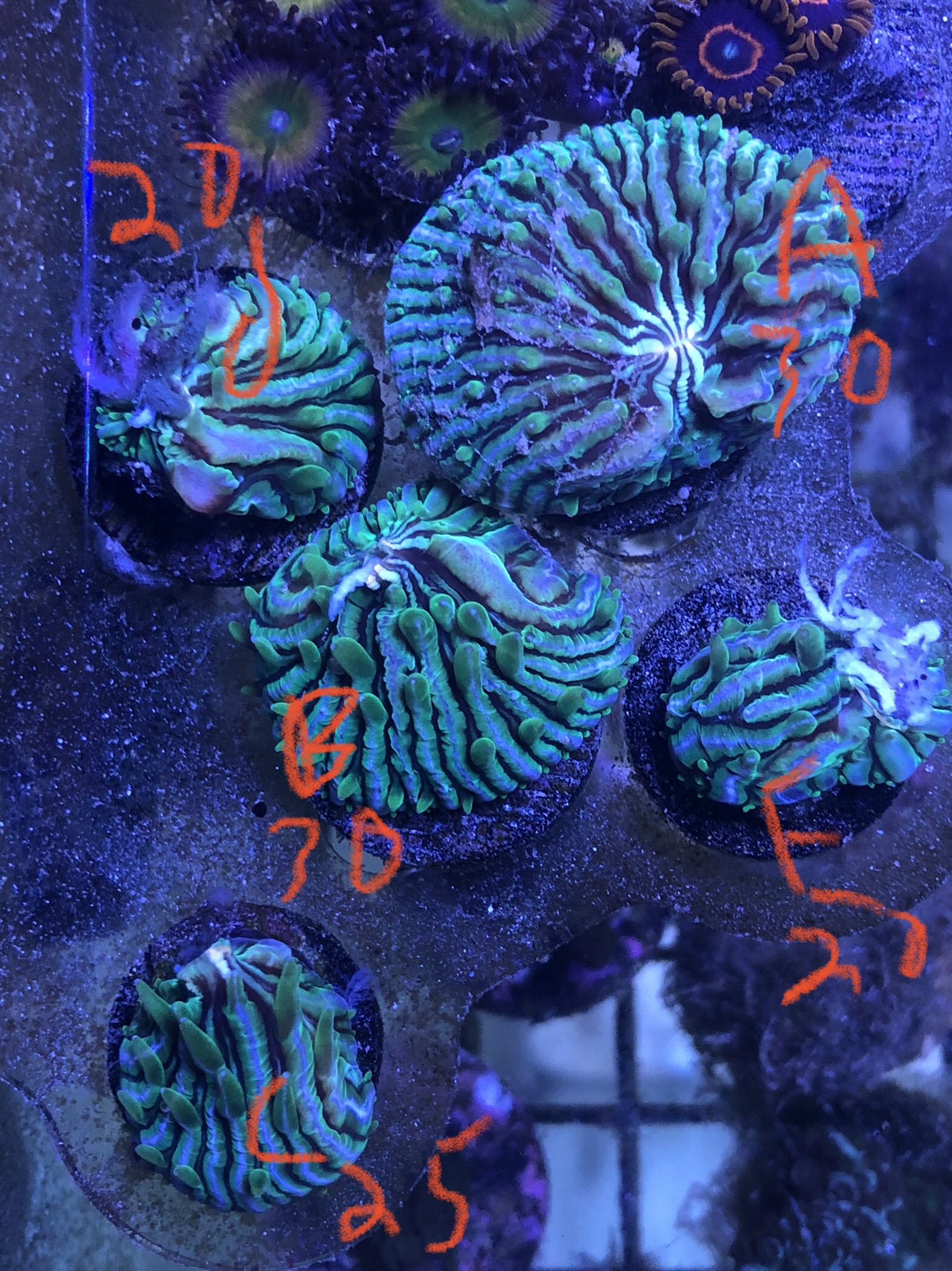 14237719-2760-4A01-85F0-4CDCF1D69F0E.jpeg