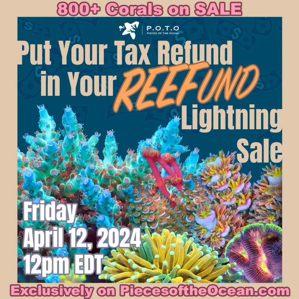 TaxReefund.jpg TaxReefund.jpg