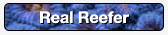 Screen Shot 2020-02-29 at 10.19.58 PM.png Screen Shot 2020-02-29 at 10.19.58 PM.png