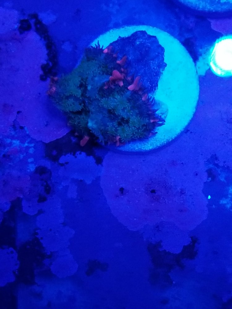 20230223_194135.jpg 20230223_194135.jpg