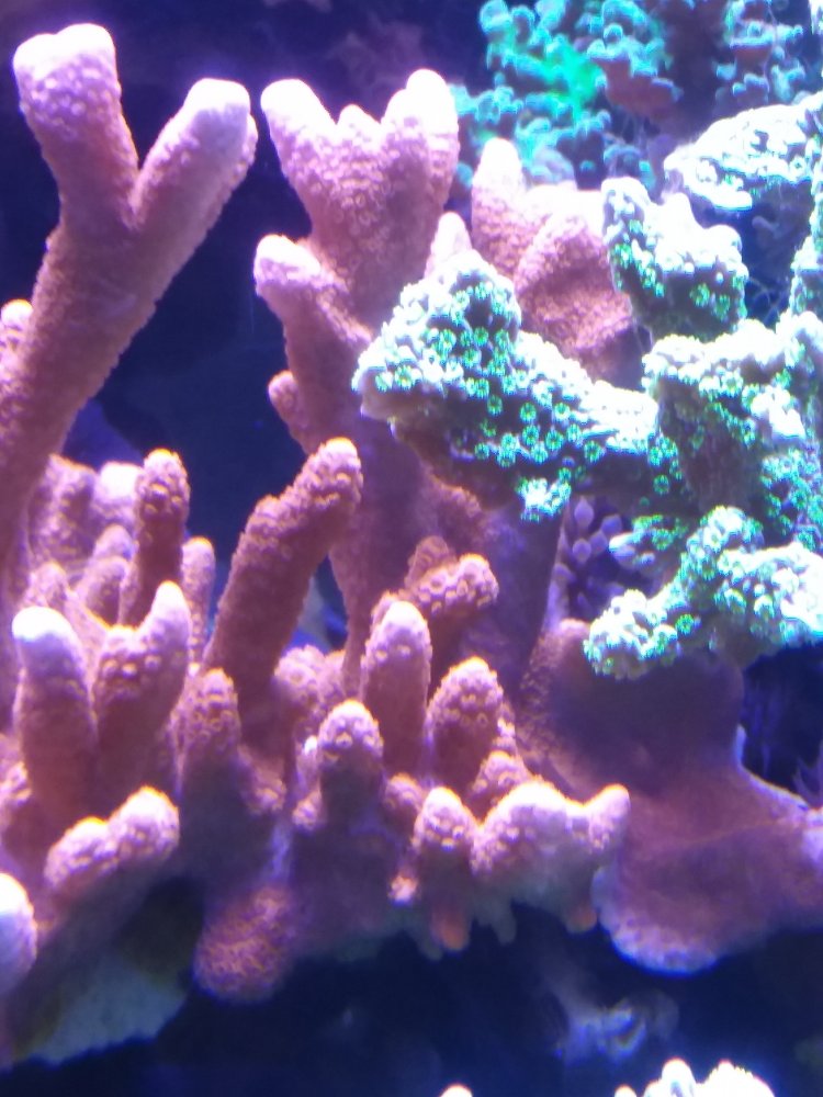 20220421_145623.jpg 20220421_145623.jpg