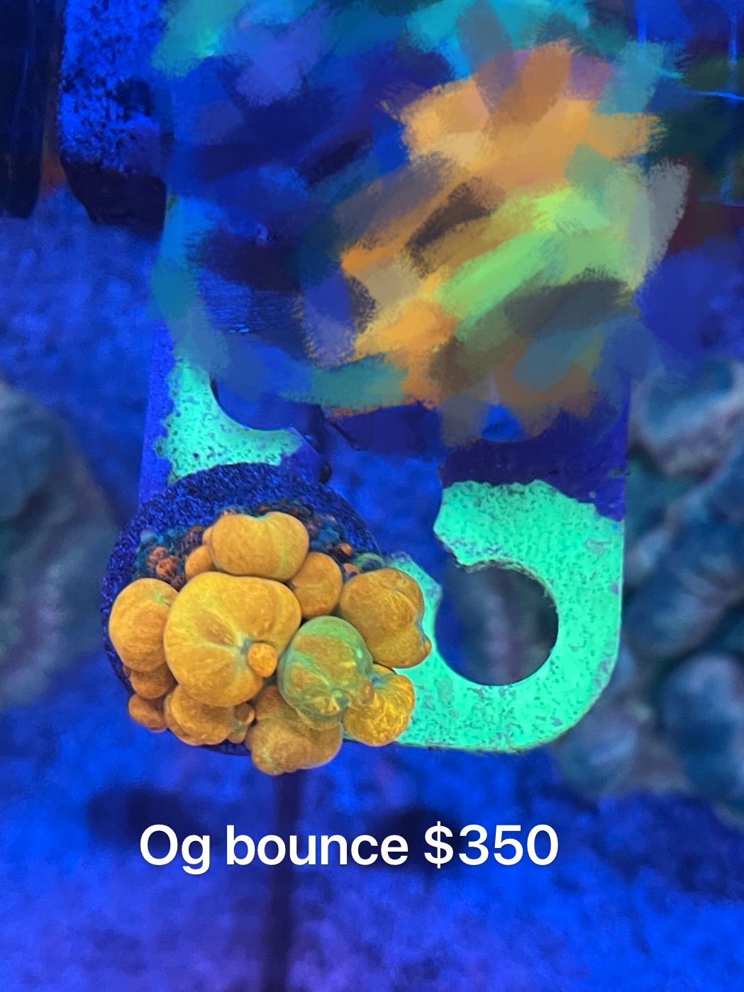 C5F790C6-C023-4E29-9553-D9E85DC65802.jpeg