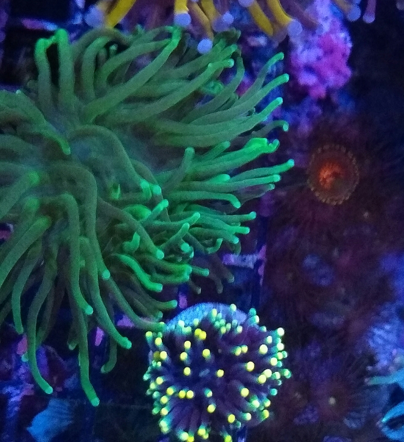 2019-11-01_08.57.06.jpg