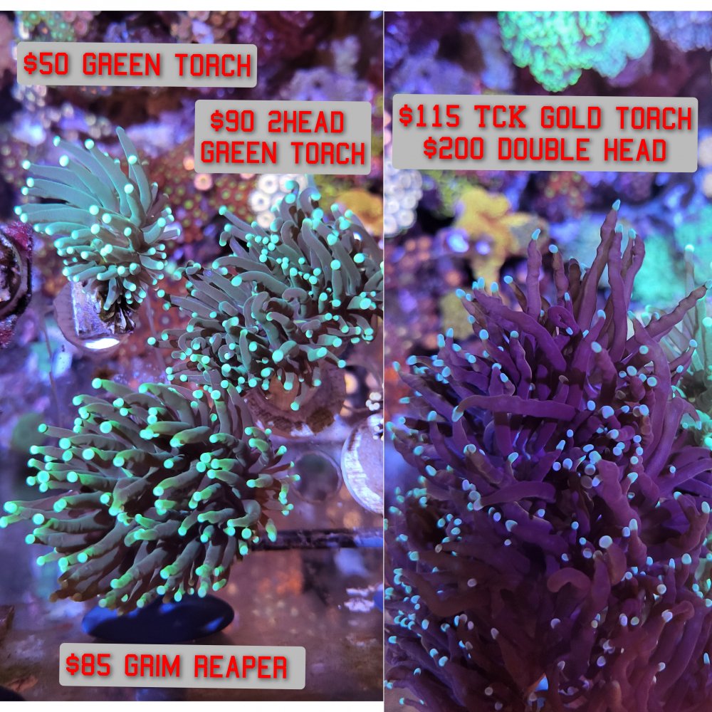 GridArt_20220729_123434465.jpg