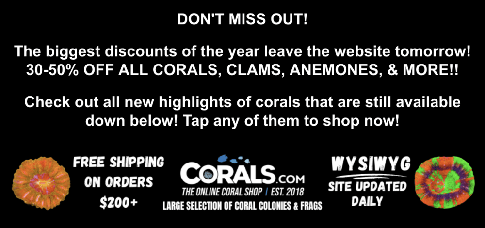 Screenshot 2026-01-06 at 10.52.00 AM.png